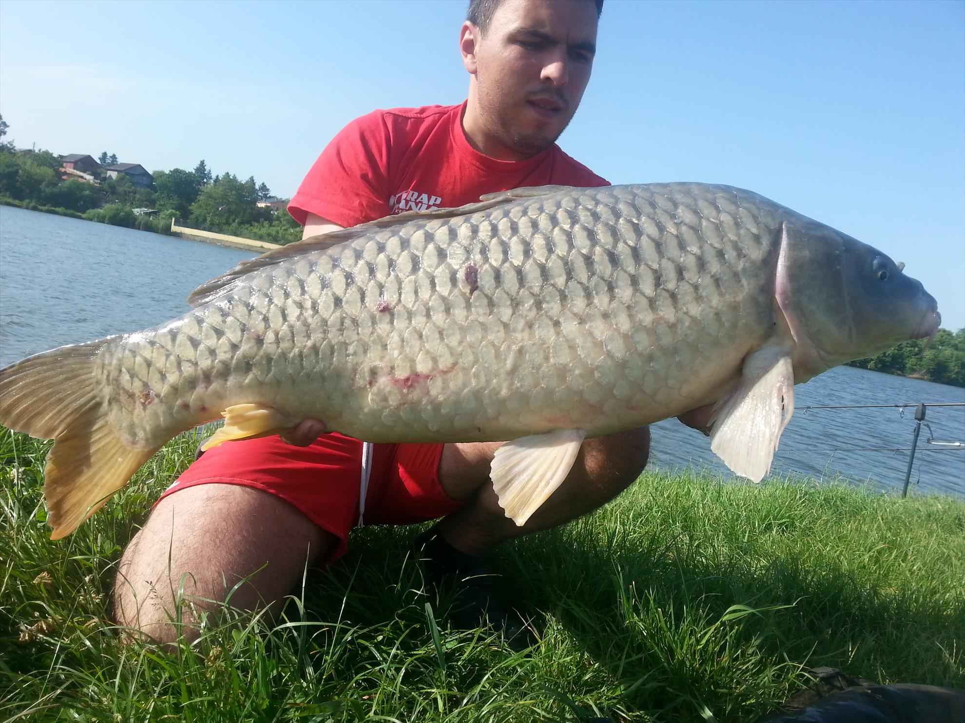 Moara Vlasiei 2 22 - 23 mai 2015 - 20150523090208.jpg